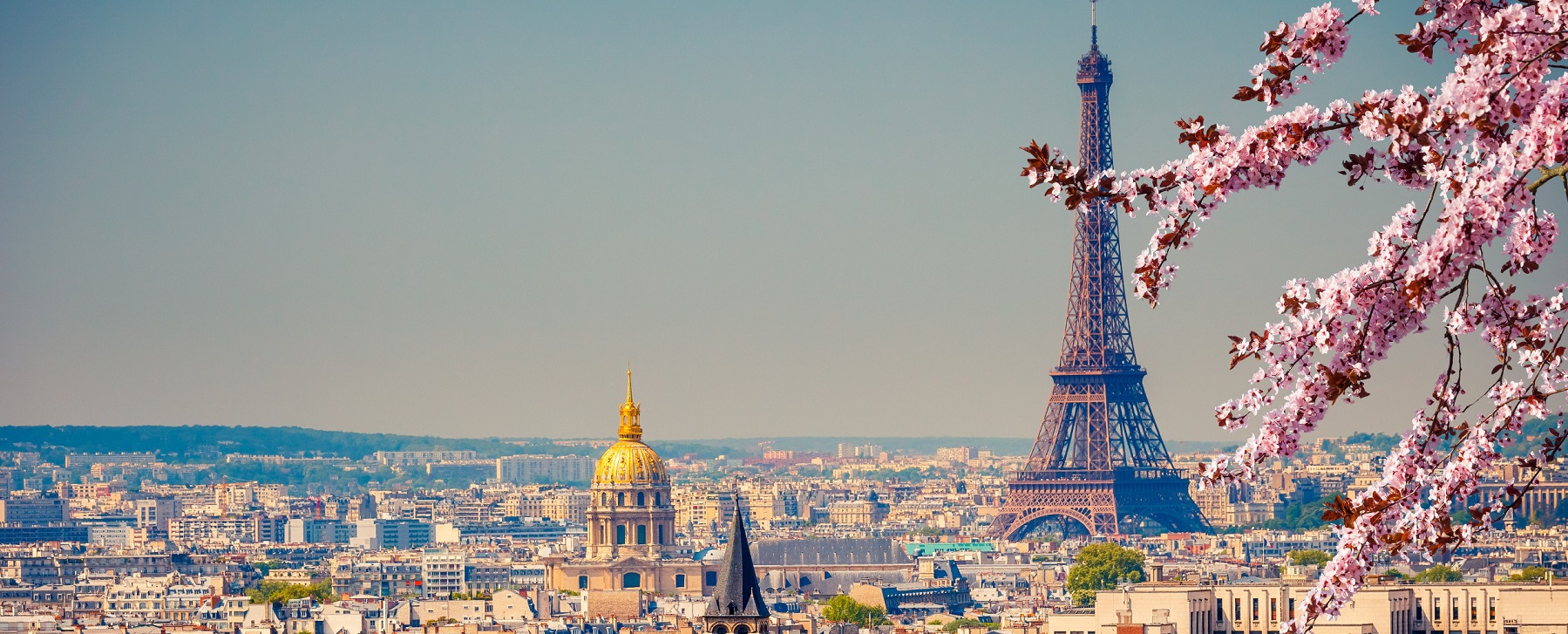 Tour Guide Trip Planning Services DispoGuide